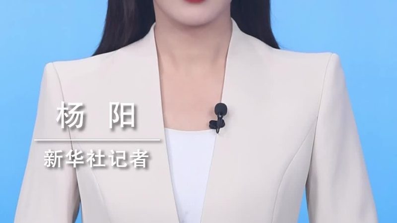 BIM+数字孪生：重塑上海城市建设的未来图景